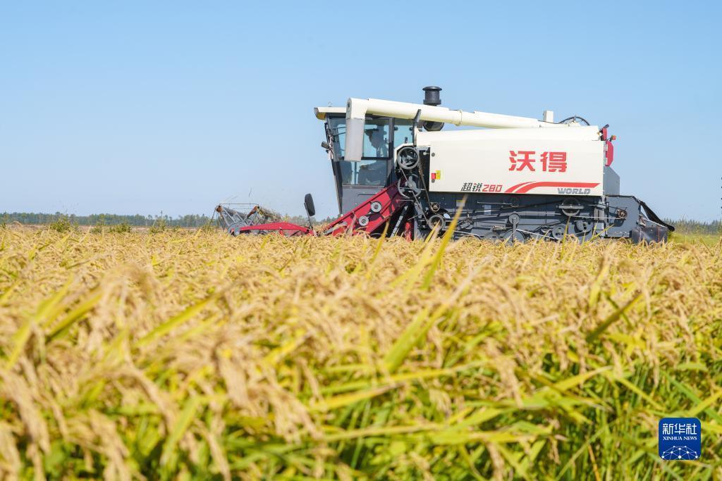 mg真人游戏斗牛